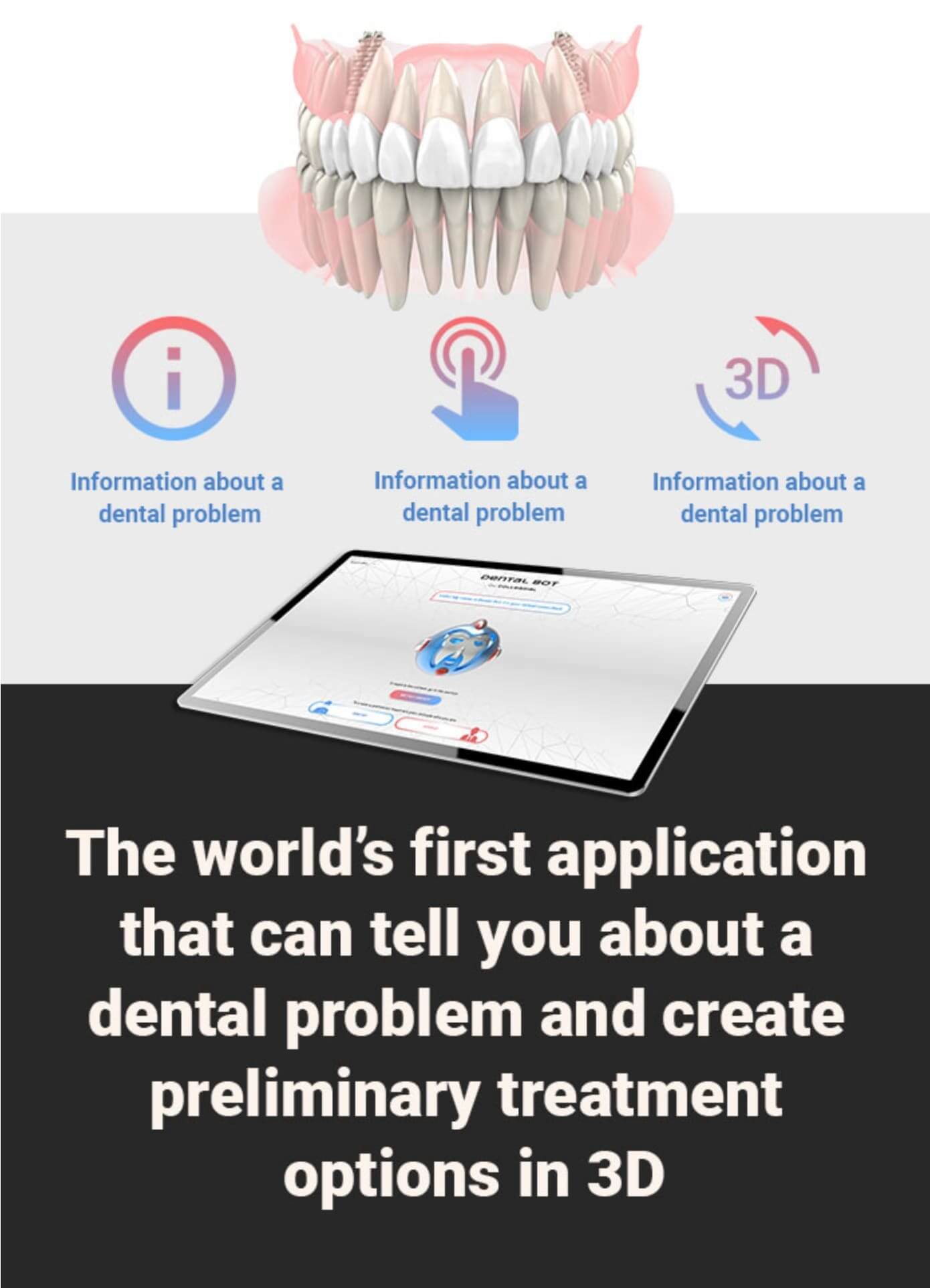 About the web application we make for you